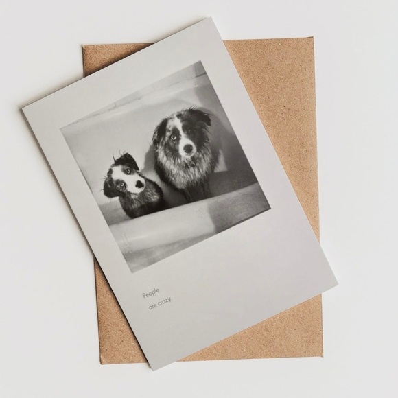 Quote Unquote All Occasions Card by Borealis Press - Picture 1 of 13